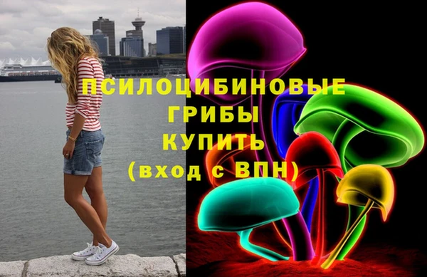 гидропоника Кукмор