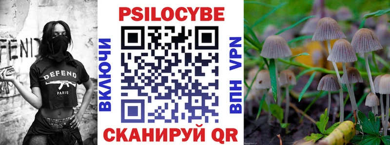Псилоцибиновые грибы прущие грибы  цена наркотик  Фокино 