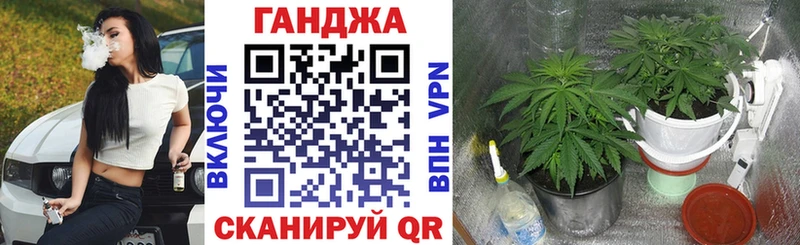 где купить наркоту Фокино Конопля сатива